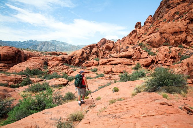 Red Rock Canyon Hike with Transport from Las Vegas - The hike plan: how your guide picks the right trail