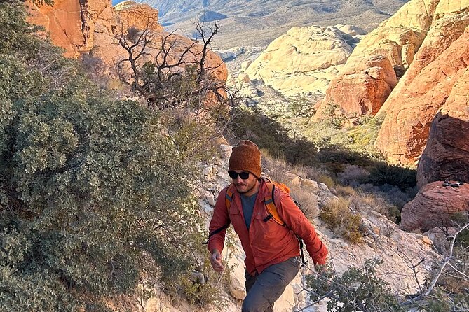 Red Rock Canyon Hiking Adventure fom Las Vegas - Key highlights at a glance