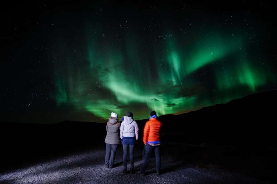 Reykjavik: South Coast, Glacier Hike & Northern Lights Combo - Should you book this South Coast, glacier, and lights combo?