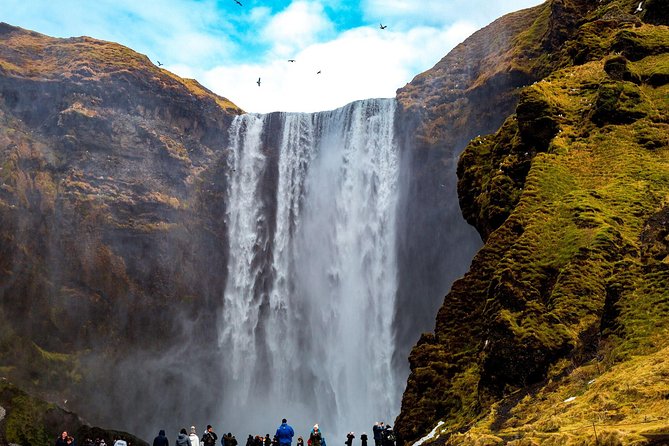Reykjavik: South Coast, Waterfalls & Glacier Hike Small-Group - A long South Coast day, run like a pro