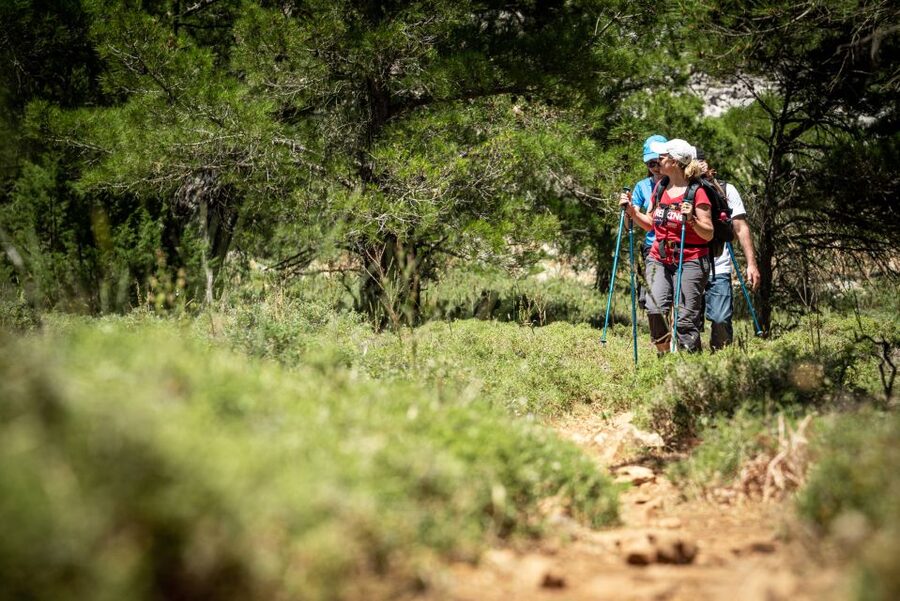 Rhodes: Hiking Tour to the Summit of Akramitis with Photos - Price and value: is $66 a good deal here?