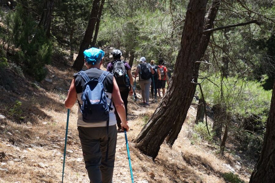 Rhodes: Hiking Tour to the Summit of Akramitis with Photos - Rhodes’ second-highest mountain, without the crowds