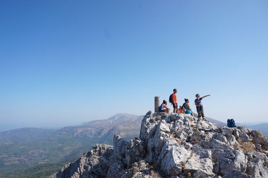 Rhodes: Hiking Tour to the Summit of Akramitis with Photos - Descent through tall pines: calmer footing, new scenery