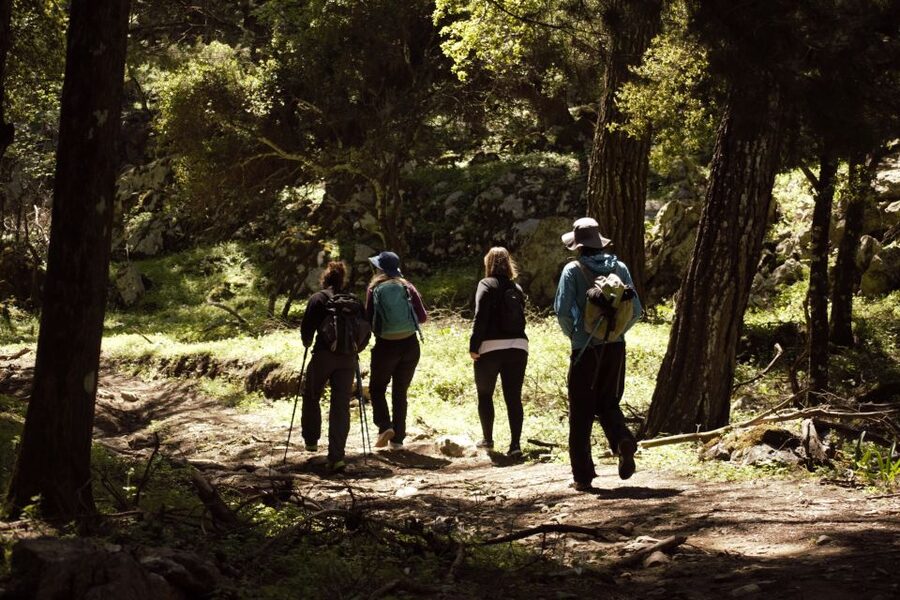 Rhodes: Profitis Ilias Guided Sunset Hike - Who This Rhodes Sunset Hike Fits Best