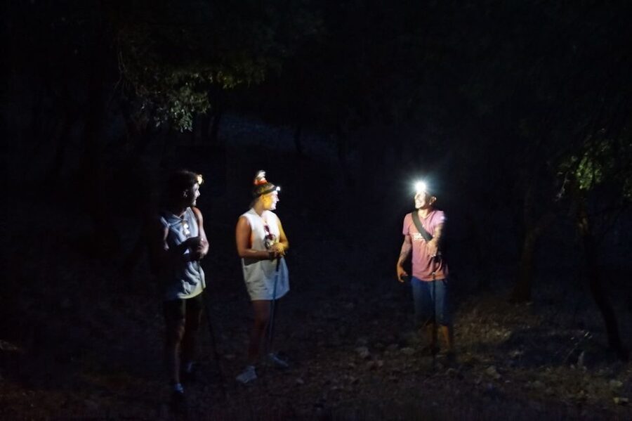 Rhodes: Profitis Ilias Guided Sunset Hike - Climbing Through Trees: The Walk That Gets You Out of the Heat