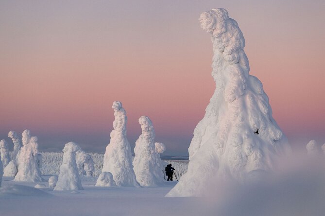 Riisitunturi Snow Monsters Winter Hike from Rovaniemi with Lunch - Key things that make this hike worth your morning