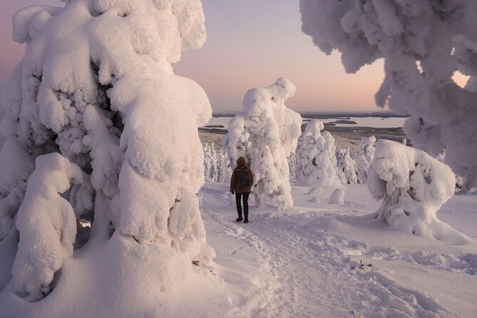 Riisitunturi Snow Monsters Winter Hike from Rovaniemi with Lunch - Riisitunturi Snow Monsters: the reason this hike feels different