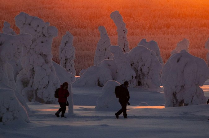 Riisitunturi Snow Monsters Winter Hike from Rovaniemi with Lunch - Small group of up to 8: why your guide changes the whole hike