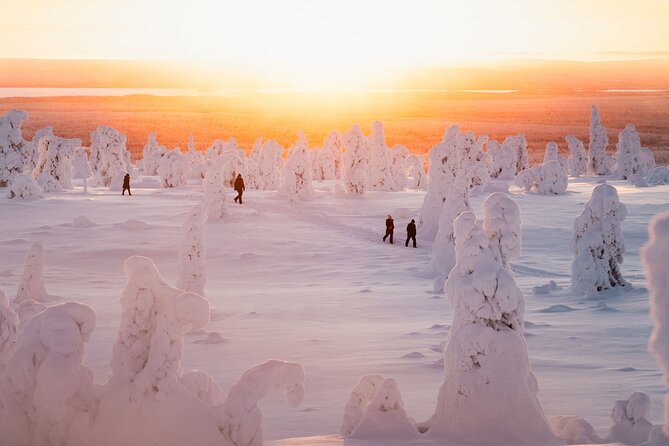 Riisitunturi Snow Monsters Winter Hike from Rovaniemi with Lunch - Getting to Rovaniemi’s meeting point and pickup outside the center