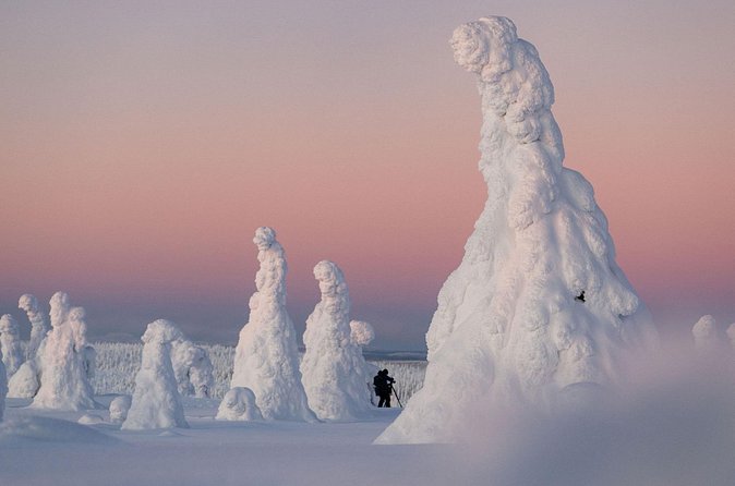 Riisitunturi Snow Monsters Winter Hike from Rovaniemi with Lunch - Price in context: what $215.54 buys you in real winter value
