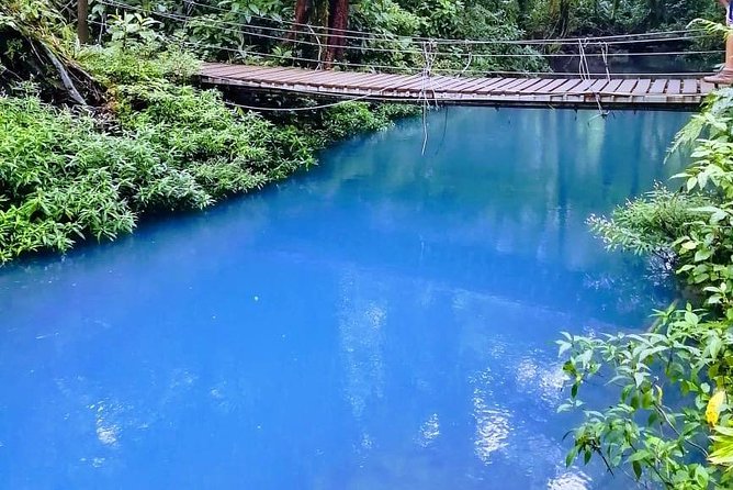 Rio Celeste, Tenorio Hike, Sloths Sanctuary & Meal - Los Teñideros and the volcano vents: the Rio Celeste “blue” in real life