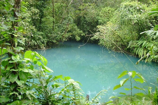 Rio Celeste Waterfall Hike from Arenal - Rio Celeste from La Fortuna: why this hike earns its reputation