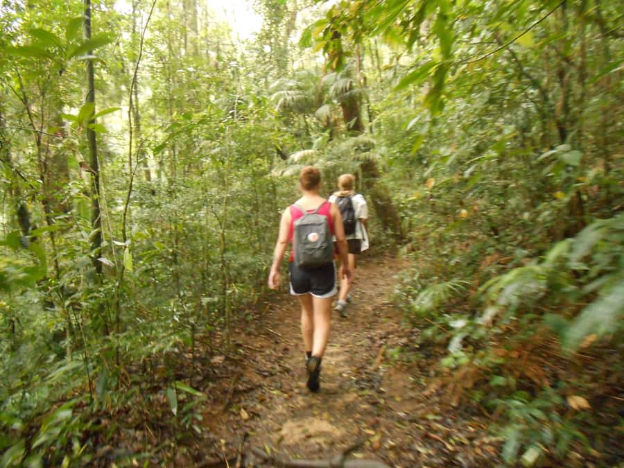 Rio de Janeiro: Christ the Redeemer Guided Hike - FAQ