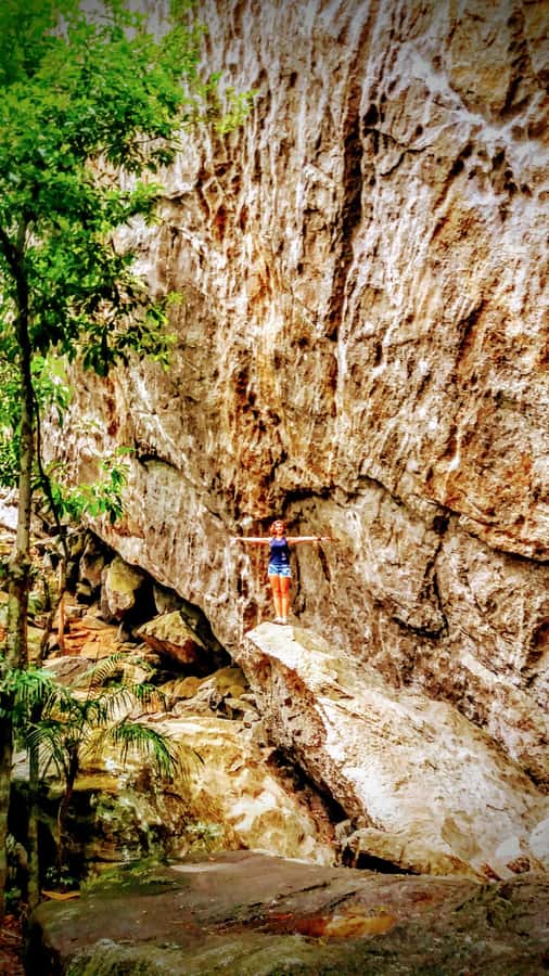 Rio de Janeiro: Tijuca Forest Challenge Hike Full-Day Trip - Vista Chinesa when vehicles are allowed