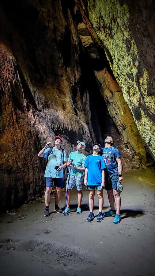 Rio de Janeiro: Tijuca Forest Challenge Hike Full-Day Trip - A Full-Day Tijuca Challenge: what you are really signing up for