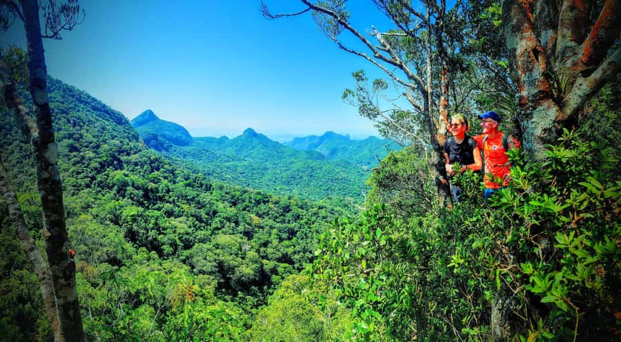 Rio de Janeiro: Tijuca Forest Challenge Hike Full-Day Trip - From Tijuca National Park into the steep stuff