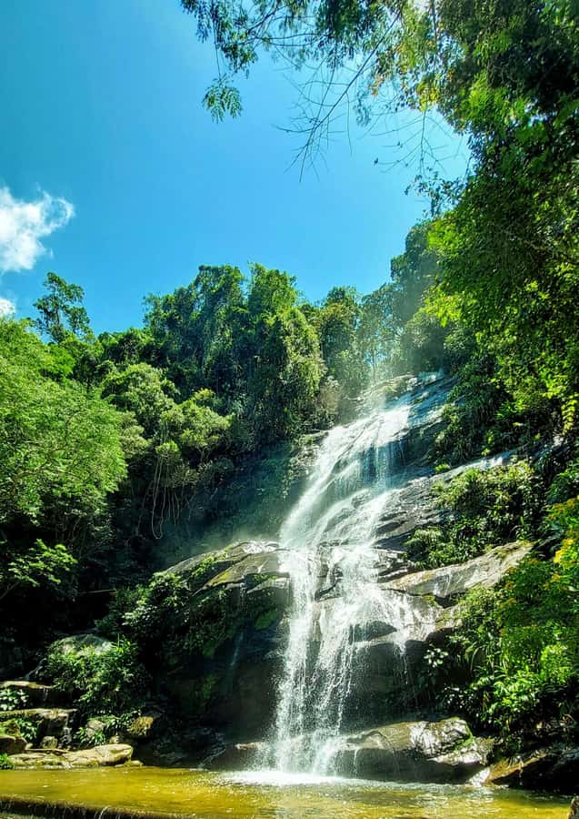 Rio de Janeiro: Tijuca Forest Challenge Hike Full-Day Trip - Taquara Hill: the payoff view that beats the crowd line