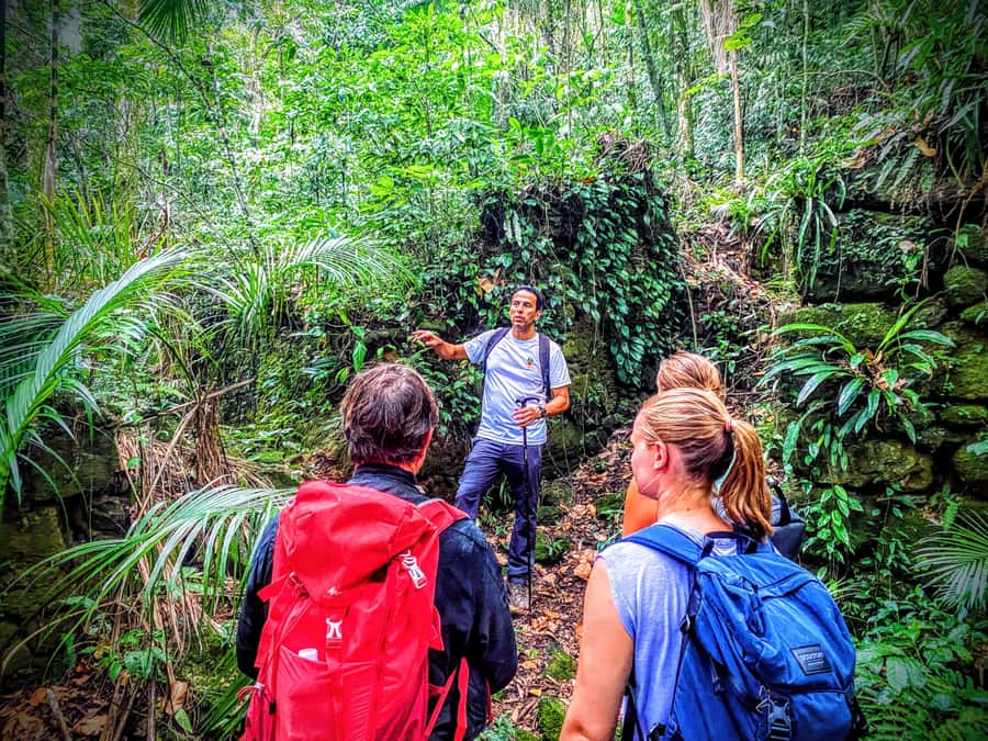 Rio de Janeiro: Tijuca Forest Challenge Hike Full-Day Trip - Hidden jungle routes: coffee-farm ruins and long stretches with fewer people
