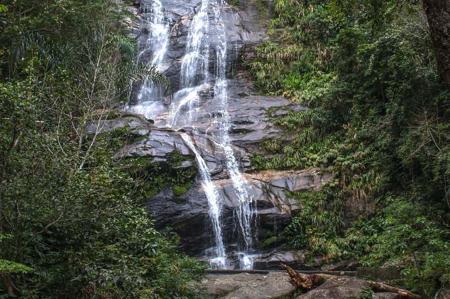 Rio de Janeiro: Tijuca Forest Waterfall of Souls Hike - Why the Waterfall of Souls hike feels different in Rio