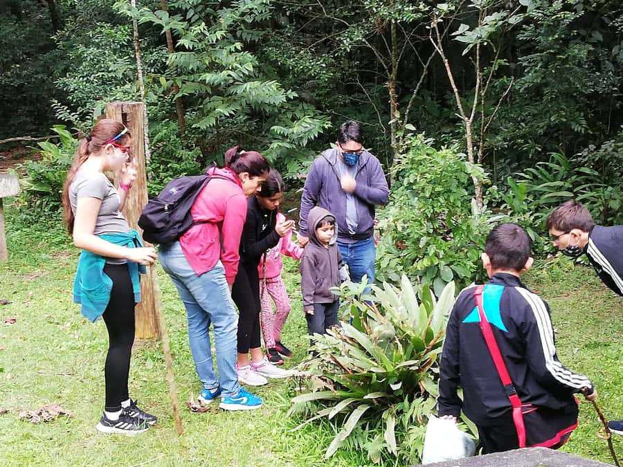 Rio de Janeiro: Tijuca Forest Waterfall of Souls Hike - The main attraction: Cachoeira das Almas and the snack-and-swim pause
