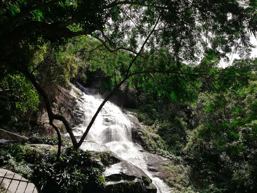 Rio de Janeiro: Tijuca Forest Waterfall of Souls Hike - Price and value: what you pay $60 for (and what you don’t)