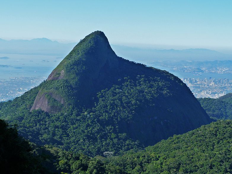 Rio de Janeiro: Tijuca Peak Guided Hike - Entering Tijuca National Park from Alto da Boa Vista