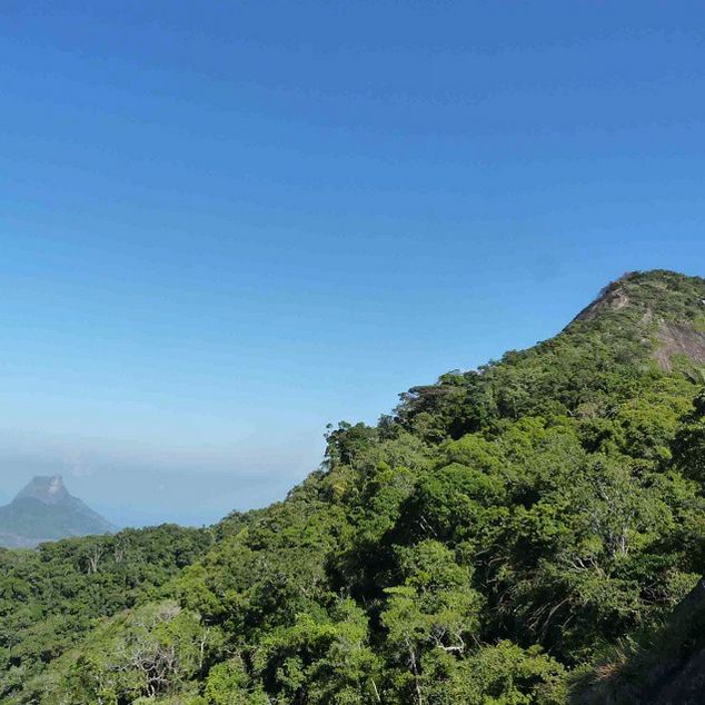 Rio de Janeiro: Tijuca Peak Guided Hike - Pace, heat, and the all-important way down