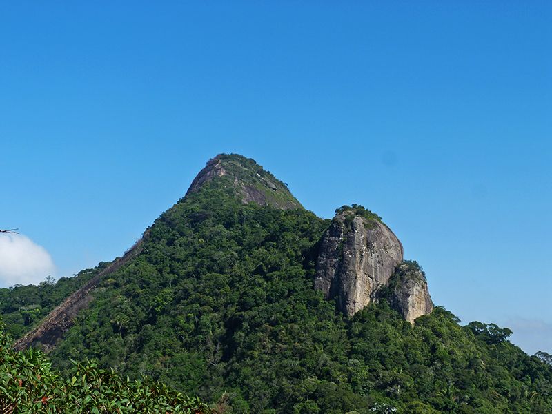 Rio de Janeiro: Tijuca Peak Guided Hike - Who the guide makes this tour (and what to expect from Denis)