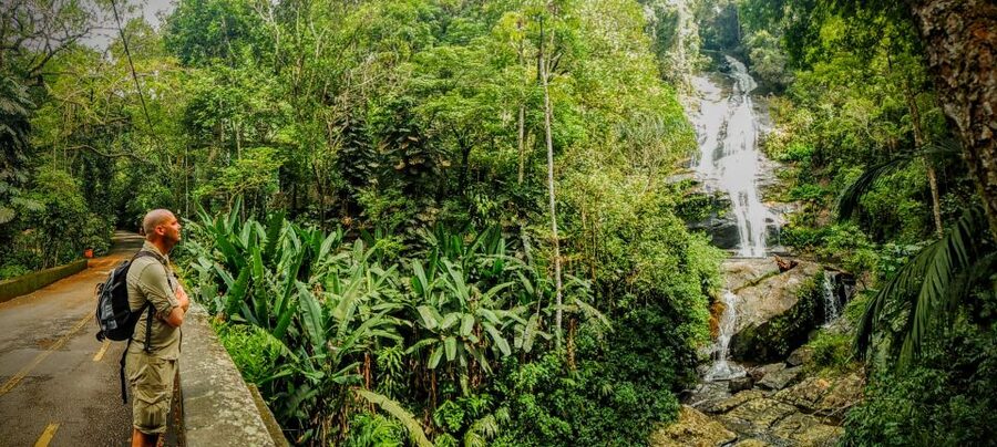 Rio: Tijuca Forest Small Group Hike to Caves and Waterfalls - What About Wildlife: Expect Plants and Structure First