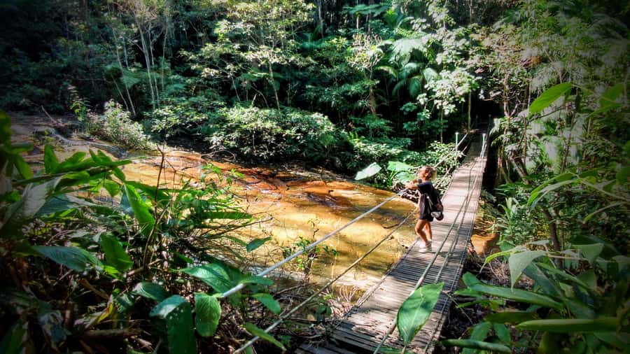 Rio: Tijuca Forest Small Group Hike to Caves and Waterfalls - The 6.2 km Moderate Hike: Your Real Workout Check
