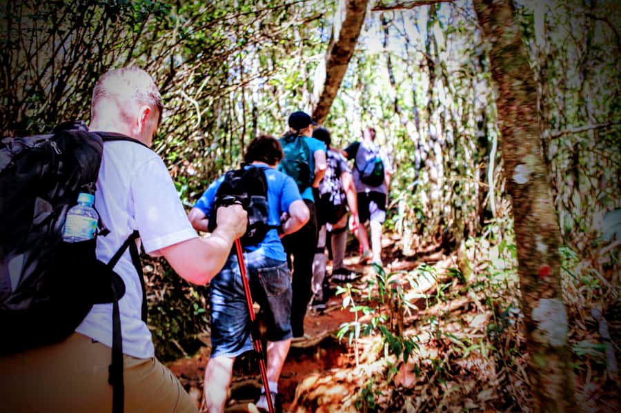 Rio: Tijuca Forest Small Group Hike to Caves and Waterfalls - Cascatinha Taunay and Baronesa Cascade: Waterfalls You Can Feel