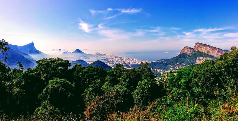 Rio: Tijuca National Park Small-Group Hike to Pedra Bonita - Price and value: what $63 usually covers on this kind of hike