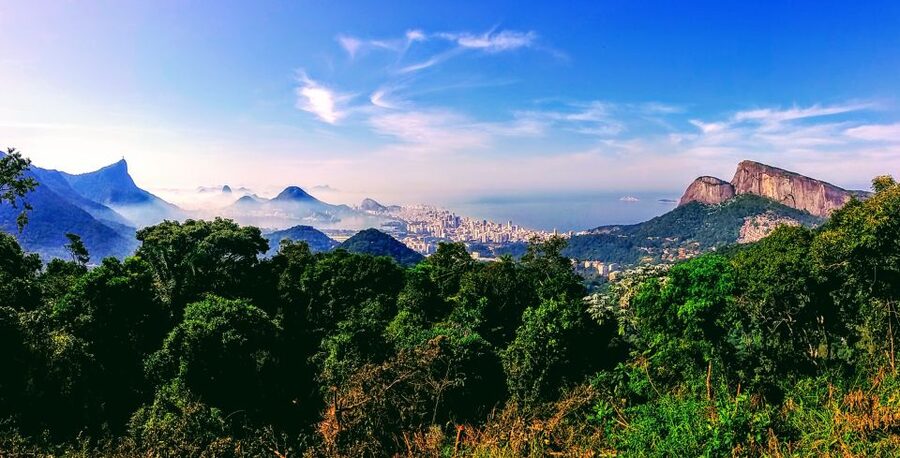 Rio: Tijuca National Park Small-Group Hike to Pedra Bonita - Stop-and-learn rhythm: viewpoints and a chance to catch wildlife