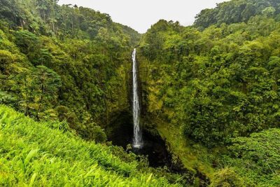 Road To Hana: Maui Waterfall Hiking Tour in Private Jeep - Private Jeep touring: the comfort win vs. driving yourself