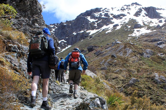 Routeburn Track Guided Hike (Full Day) - Key takeaways before you go