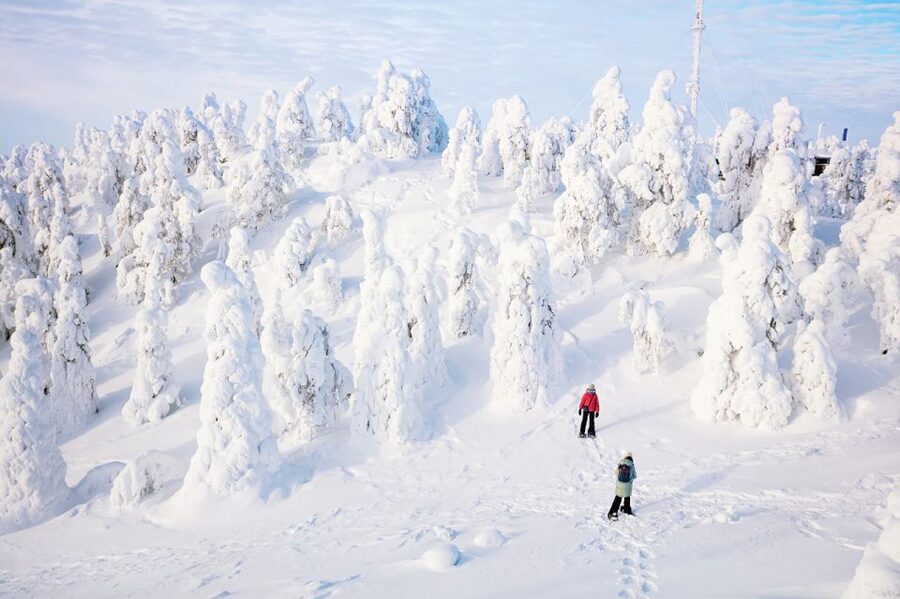 Rovaniemi: Hiking and Snowshoeing Adventure in Lapland - Key highlights worth planning around