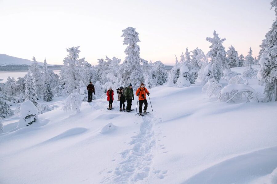Rovaniemi: Hiking and Snowshoeing Adventure in Lapland - Snowshoeing basics: the guide teaches you before you’re committed