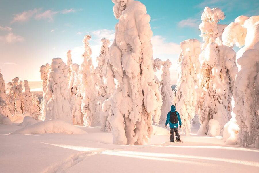 Rovaniemi: Hiking and Snowshoeing Adventure in Lapland - Pace and difficulty: manageable for many, still physical in snowshoes