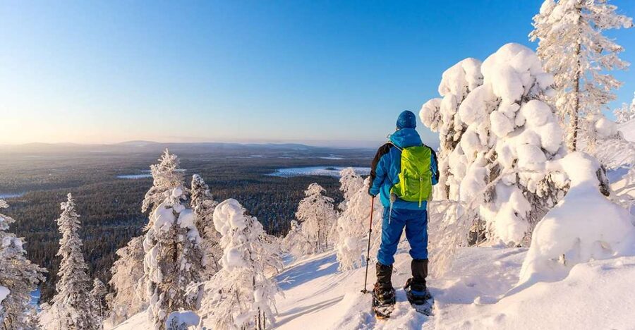 Rovaniemi: Hiking and Snowshoeing Adventure in Lapland - Warm drinks and gingerbread: why the end matters more than you think