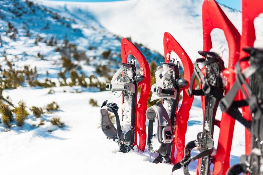 Rovaniemi: Hiking and Snowshoeing Adventure in Lapland - Getting there the easy way: Rovaniemi pickup keeps winter simple