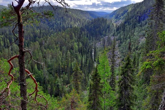 Rovaniemi Korouoma Canyon Hike and Barbecue Experience - Key highlights you’ll care about