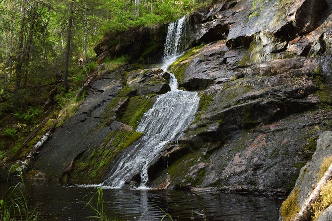 Rovaniemi Korouoma Canyon Hike and Barbecue Experience - What you’ll see: canyon color, snowy trails, and realistic wildlife expectations