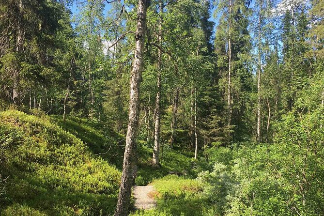 Rovaniemi Korouoma Canyon Hike and Barbecue Experience - The 4–6 km canyon hike: pace, footing, and effort level