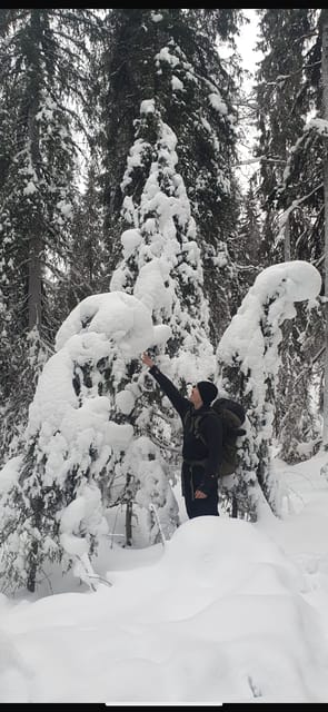 Rovaniemi: Korouoma Frozen Waterfalls Hike & Hot BBQ Lunch - The 4-hour guided hike: what the snowy canyon walk feels like
