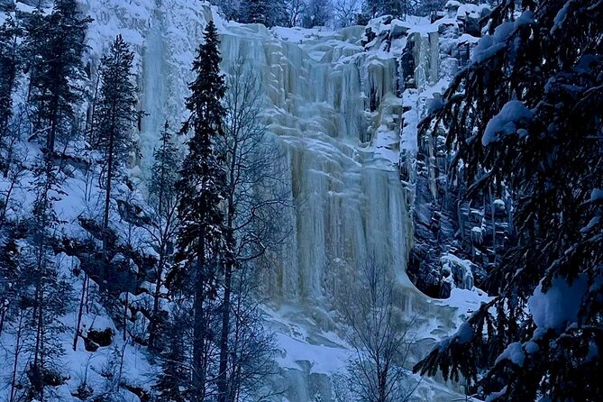 Rovaniemi: Korouoma Frozen Waterfalls Hike with Hot BBQ Lunch - Bonfire Warm-Up: Hot Juice, Campfire Snacks, and BBQ-Style Comfort