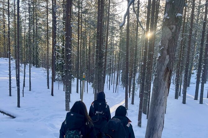 Rovaniemi: Korouoma Frozen Waterfalls Hike with Hot BBQ Lunch - Why the Guide Matters in Korouoma (Look for Mirko)