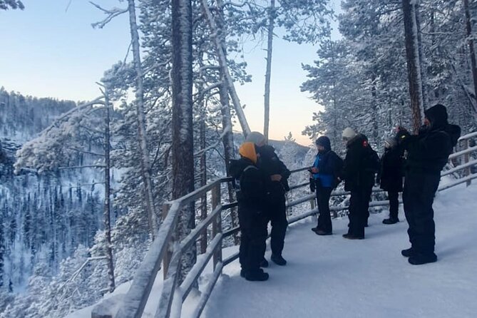 Rovaniemi: Korouoma Frozen Waterfalls Hike with Hot BBQ Lunch - Who Should Book This Tour (and Who Might Hesitate)