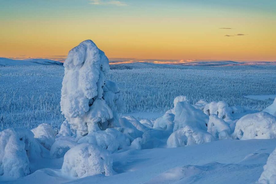 Rovaniemi: Riisitunturi Guided Hike with Photography and BBQ - Key Highlights You’ll Actually Feel During the Day