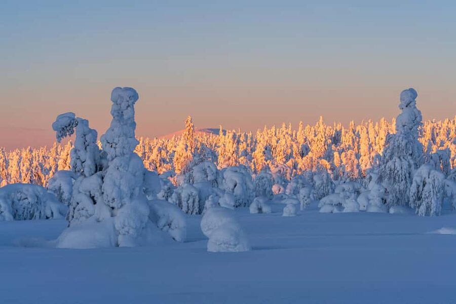 Rovaniemi: Riisitunturi Guided Hike with Photography and BBQ - Riisitunturi National Park: Why This Walk Feels Like Lapland