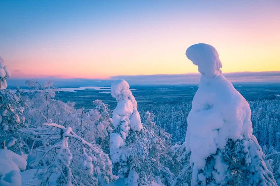 Rovaniemi: Riisitunturi Guided Hike with Photography and BBQ - The 4.3 km Hike: Snow Views, Real Progress, and a Photo Plan
